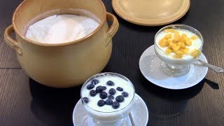 How to Make Thick and Creamy Yogurt - Two Ingredients and No special Equipment Needed