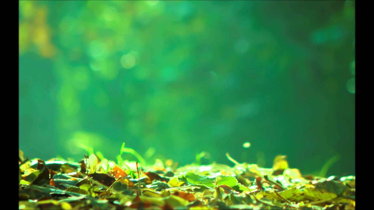 Yuhki Kuramoto - 愛のかたち (Ai No Katachi) - YouTube