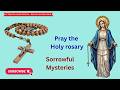 Sorrowful Mysteries of the Holy Rosary | Friday Rosary Meditation with Scripture - 29 May