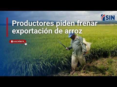 Producers ask to halt rice exports
