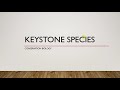 Keystone Species And Their Crucial Role In Ecosystem Balance