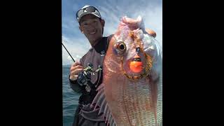 スイッチキャンディで大真鯛連発水深100M超のディープドテラで大興奮