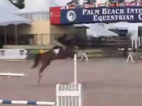 George Morris Horsemastership Session Day 4/5 Zazo...