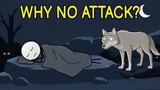 Why Don't Predators Attack Sleeping Humans?