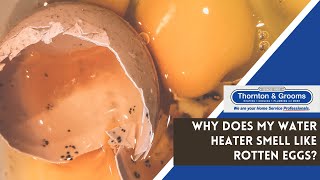 Why Does My Water Heater Smell Like Rotten Eggs? Our Plumbing Trainer Explains