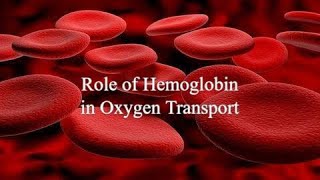 Hemoglobin's Role in Oxygen Transport | Oxygenation of Blood