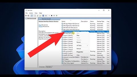 How to Fix: VOICE ACCESS NOT WORKING in Windows 11