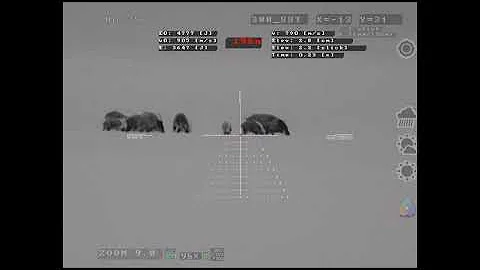 Hog hunting 195m, Eagle Phoenix 14:03/75 12um VGA