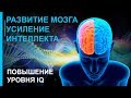 ☯ Программа для Развития Мозга ☯ Усиления Интеллекта ☯ Повышения IQ ☯