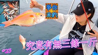 【爭你未釣】究竟有無三條一斤?! 😅｜向東面出發🛶｜瓜衫雞魚🐟｜水豪船長｜香港釣魚 #Fishing #Saltwaterfishing