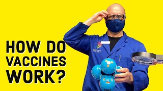 How Do Vaccines Work? 💉
