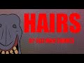 Hairs  old man chimes original animation 2018