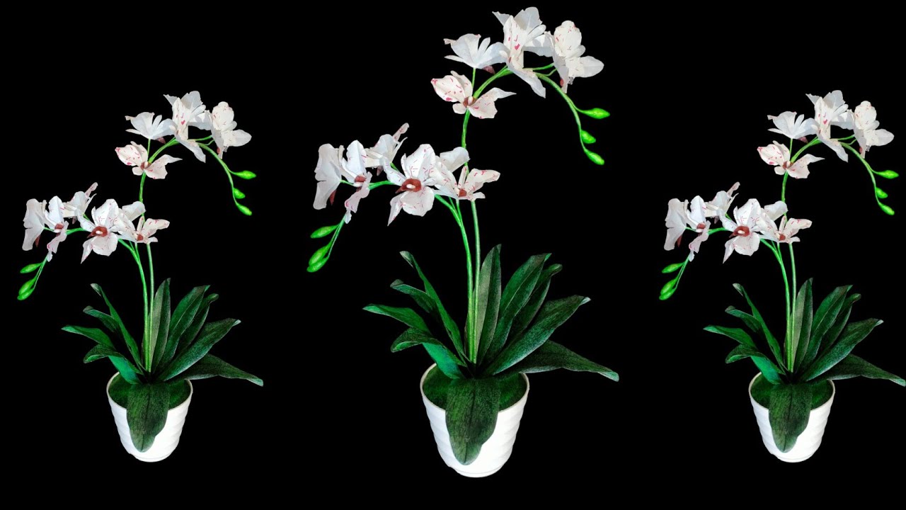 Bunga anggrek dari plastik kresek || orchid flowers from plastic bags