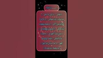 Surah AD-DUHA سورة الضحى #egzonibrahimi #explore