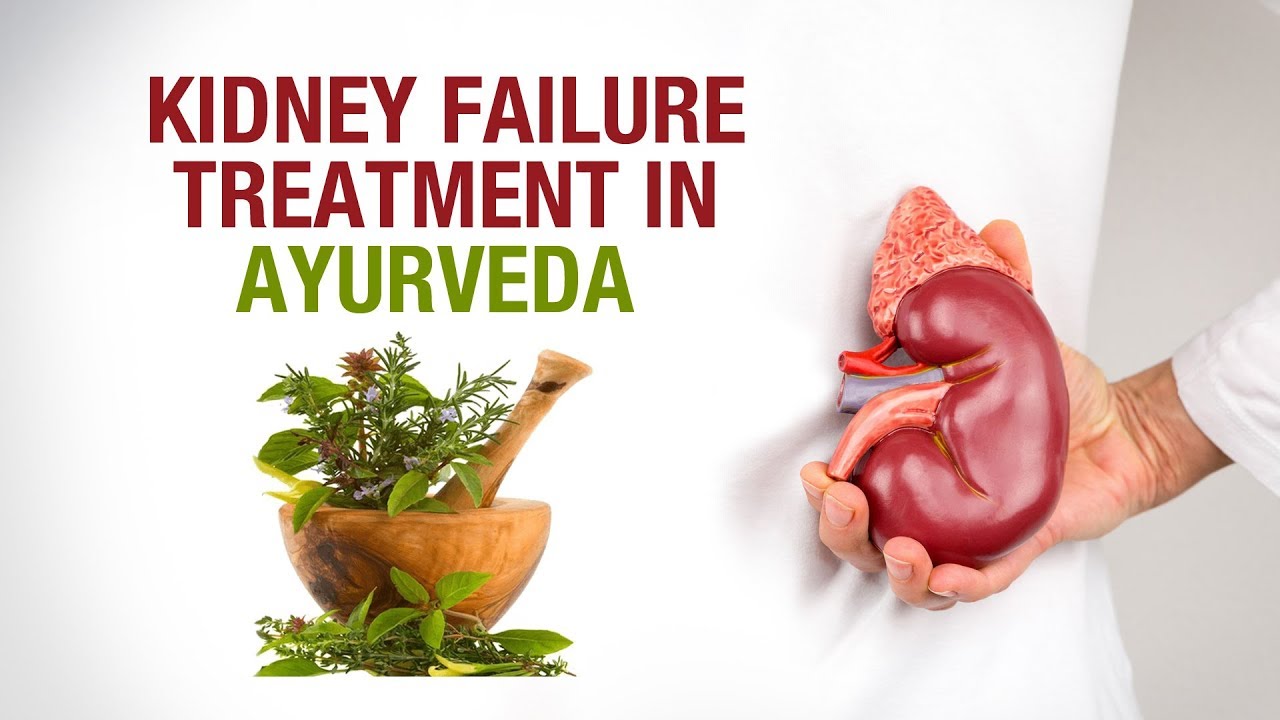 kidney-failure-treatment-in-ayurveda-dr-puneet-dhawan-karma