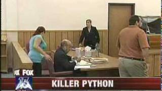 Wtvt Fox 13 News At Noon Open 71411