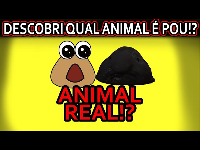 POU É BASEADO NUM ANIMAL REAL !? (BIZARRO) 