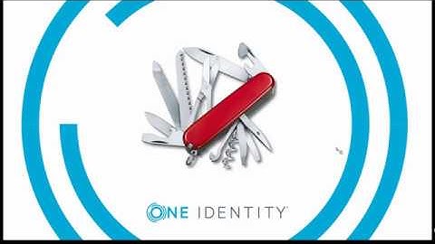 Get IAM Right Insight Series The Swiss Army Knife Approach to Access Management