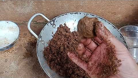 hướng dẫn cách làm mồi tôm. tép. cho lồng bát quái 8 lỗ đơn giản hiệu quả