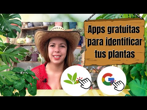 Dos aplicaciones gratuitas para identificar nuestras plantas desde el celular, como usarlas! hqdefault
