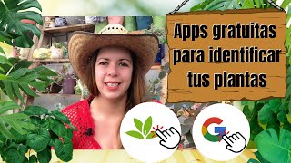 Dos aplicaciones gratuitas para identificar nuestras plantas desde el celular, como usarlas! screenshot 3