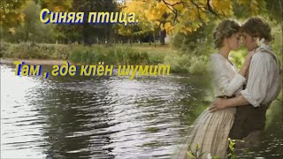 Синяя птица.   Там , где клён шумит