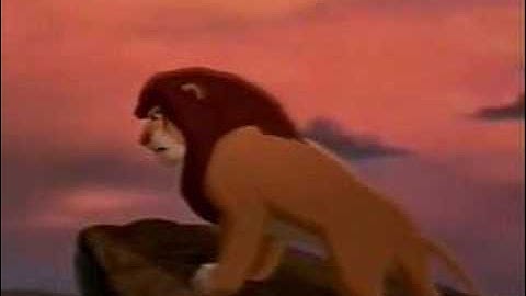 Animash // Every time we touch