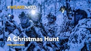 A Christmas hunt