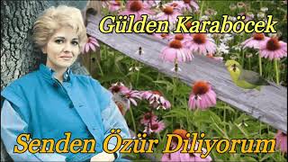 Gülden Karaböcek - Senden Özür Diliyorum Resimi