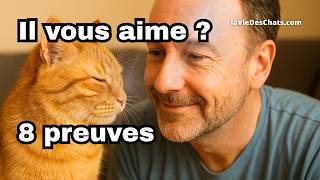8 SIGNES QUE VOTRE CHAT VOUS AIME. LE DERNIER EST SURPRENANT !