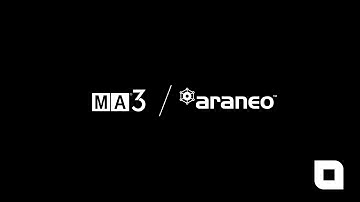 MA-Net3 and Araneo