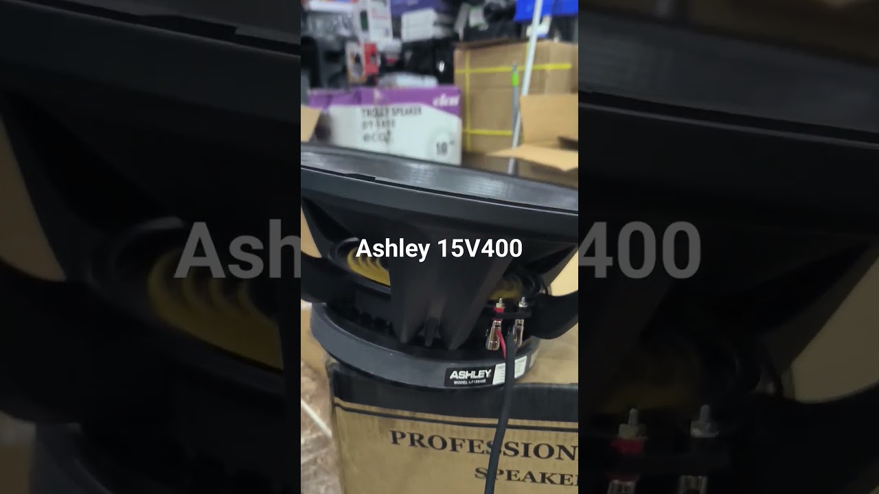speaker Ashley 15v400