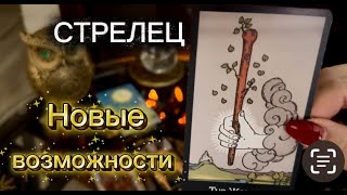 СТРЕЛЕЦ - НОВЫЕ ПЕРСПЕКТИВЫ! Таро расклад с 01 по 15 ноября 2025г.