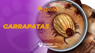 Video Informativo sobre la enfermedades trasmitidas por las picaduras de garrapatas