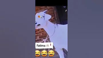 Happy Birthday Fatima 