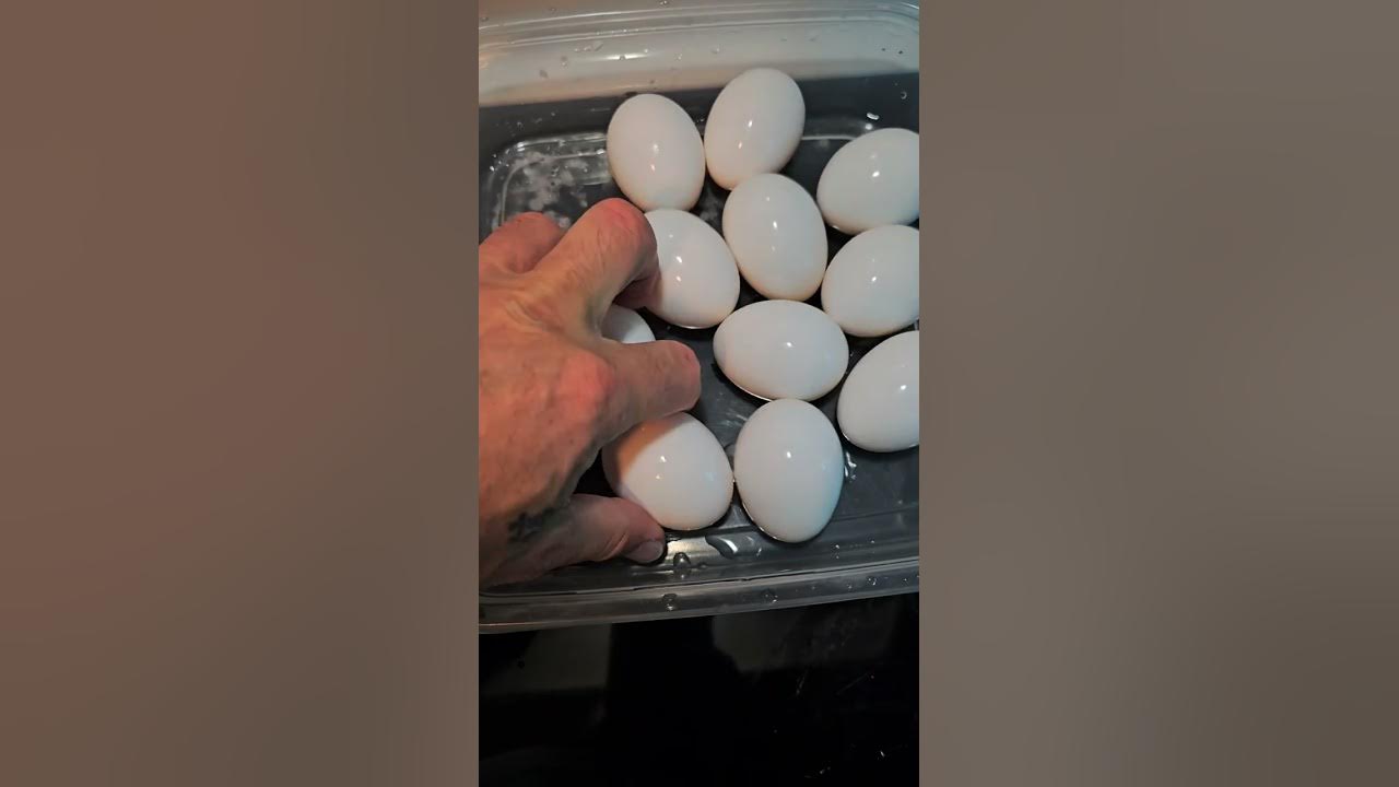 How to use the Bella Egg Cooker YouTube