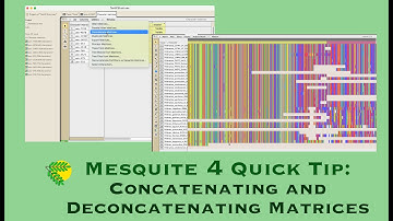 Concatenating and deconcatenating matrices in Mesquite 4