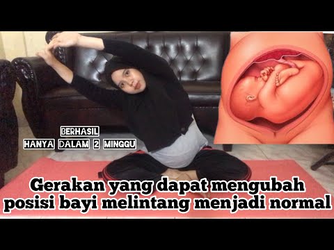 Video: Cara Melakukan Pose Anak dalam Yoga: 12 Langkah (dengan Gambar)