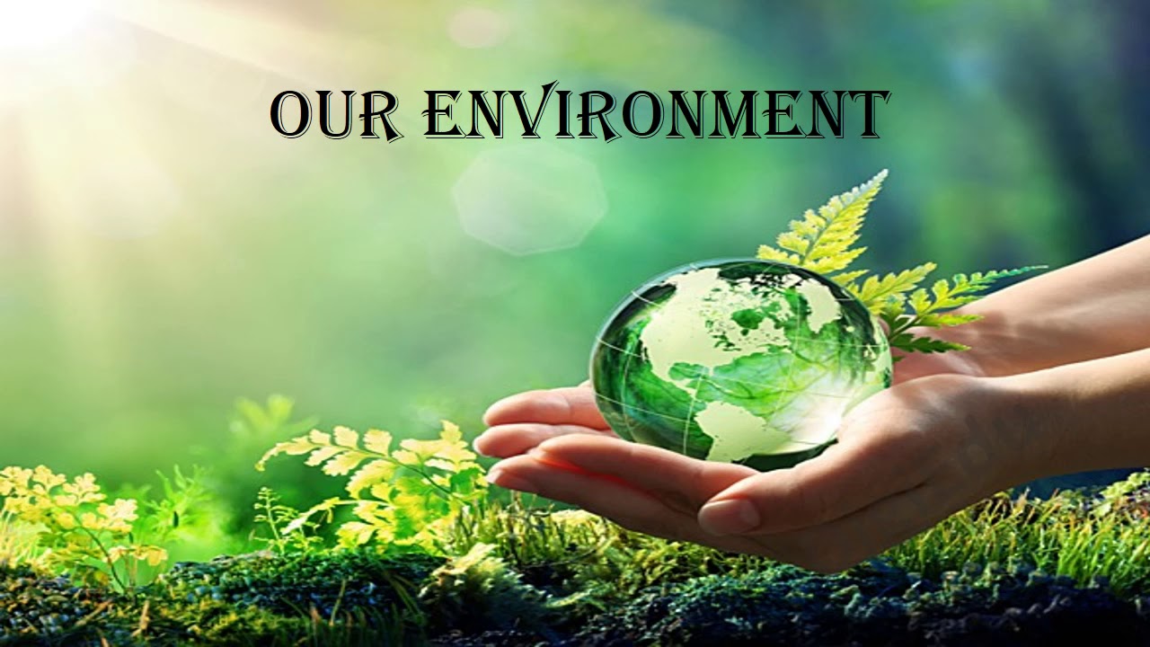 Our Environment, CBSE, SSt/EVS, Class - 3 - YouTube