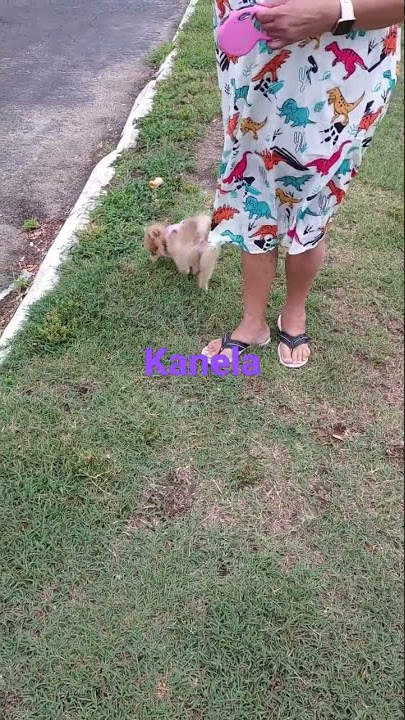 Kanela