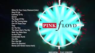 Pink Floyd - Delicate Sound Of Thunder (1989) Bootleg Dvd Menu Hd