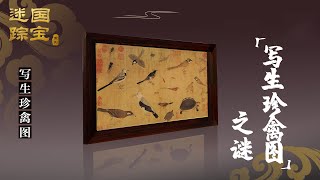 国宝迷踪（第四部）8 《写生珍禽图》之谜 宋徽宗赵佶《写生珍禽图》几度流失海外 终归何处？20211119 | CCTV百家讲坛官方频道