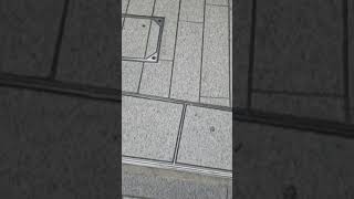 散歩2020120906