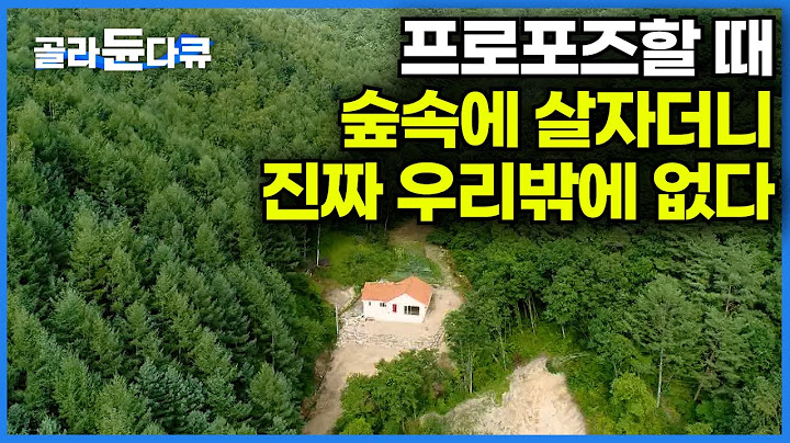 이 정도일 줄은... 주변 아무리 둘러봐도 온통 나무뿐... 진짜 숲 정중앙에 들어와 사는 젊은 부부ㅣ산골짜기에서 다시 시작한 신혼ㅣ한국기행│#골라듄다큐