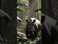 Echoes of the Wild: The Silent Rhino #shorts