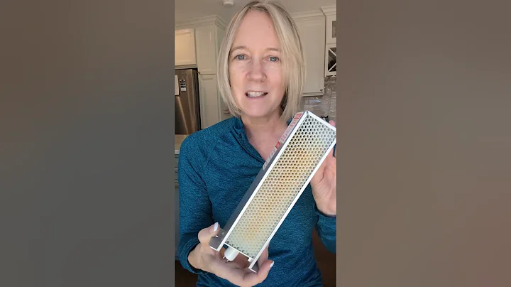 Does it work? REVIEW of the Aerus Air Scrubber Ozone Free