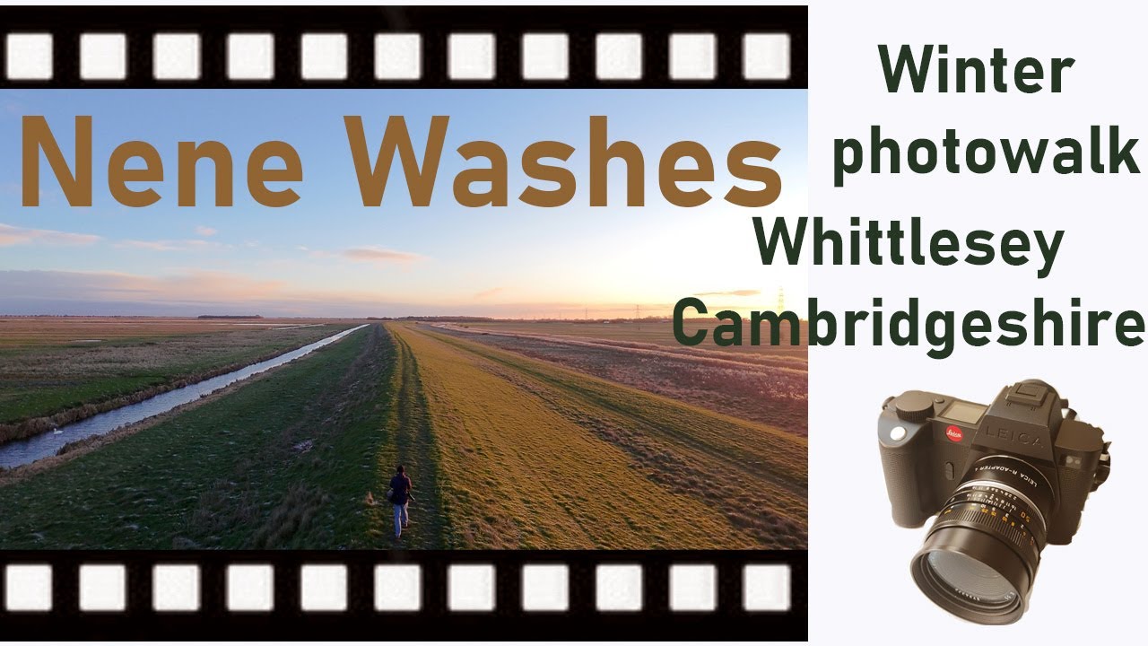 Nene washes Wittlesey - a winter photo walk