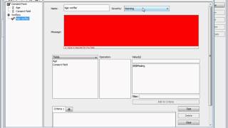 BSI: Consent Module: Basic use of the Consent Module in BSI screenshot 4