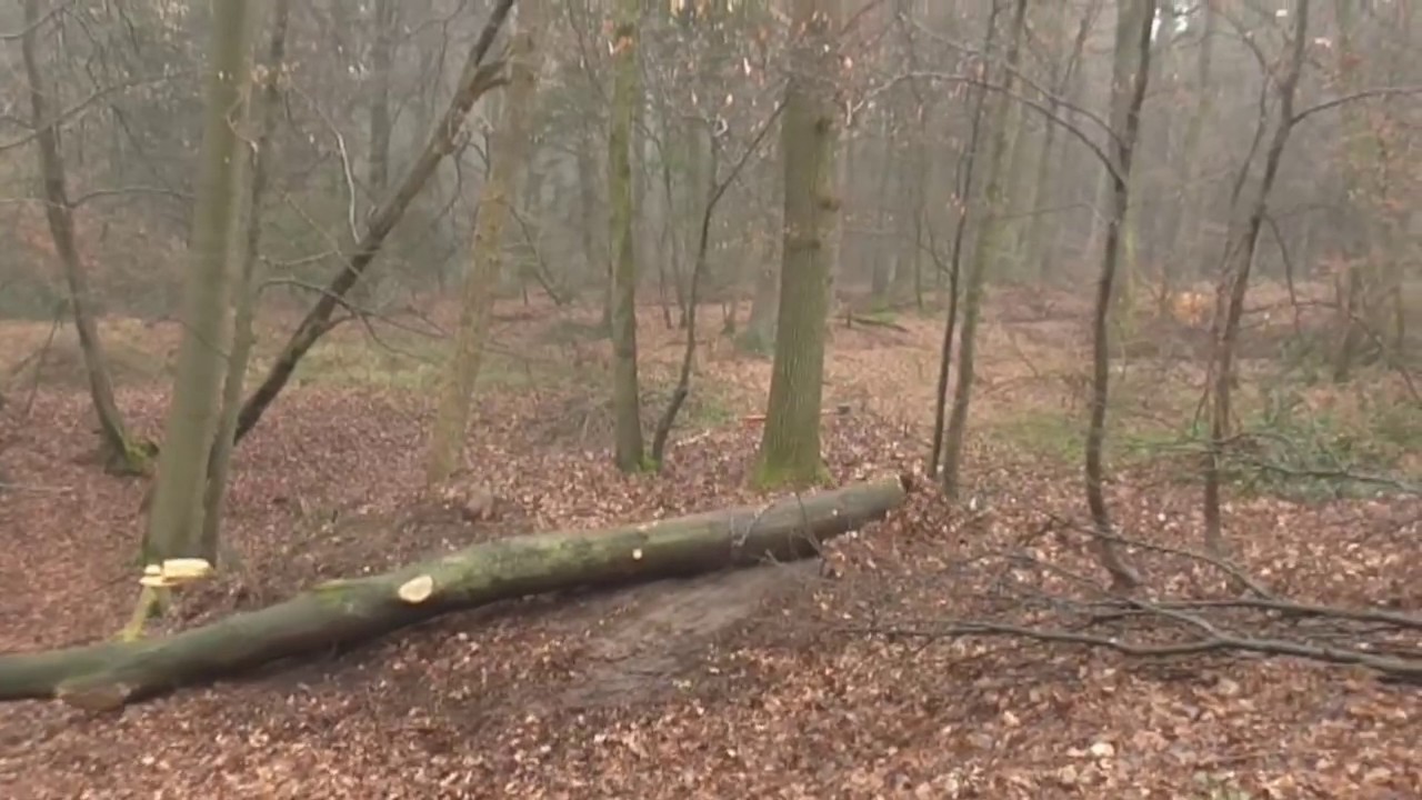 Hanomag R 16 mit 3,5 t-TAJFUN Seilwinde EGV 35 A