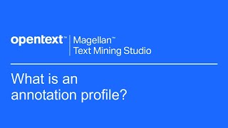 What is an annotation profile | Magellan Text Mining Studio